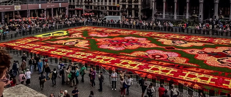 Brussels | Grand Place | Carpet of Flowers | Belgium | Travel with kids
