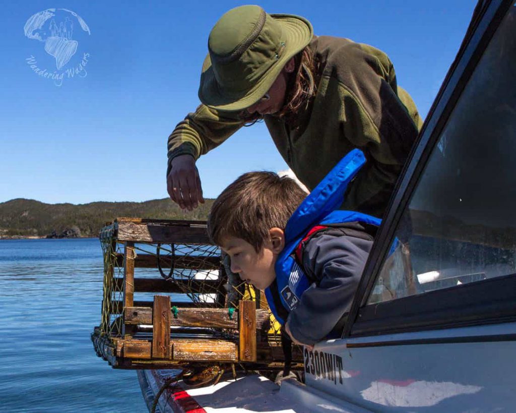 Twillingate is a town located off the northeastern shore of Newfoundland. Although it is a small town with a population of less than 2500 it has a lot to offer.