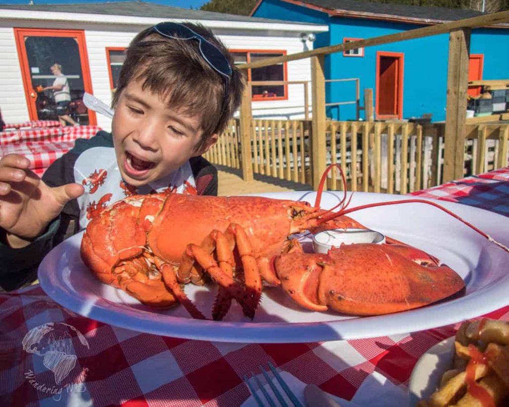 Twillingate is a town located off the northeastern shore of Newfoundland. Although it is a small town with a population of less than 2500 it has a lot to offer.