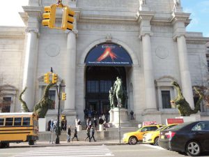 american natural history museum