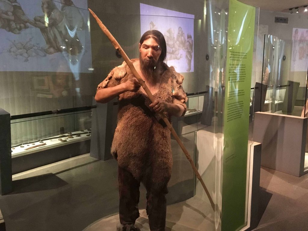 Neanderthal Museum in Mettman, Germany. Big adventure sometimes comes in small packages. Including Special Duckomenta exhibit.