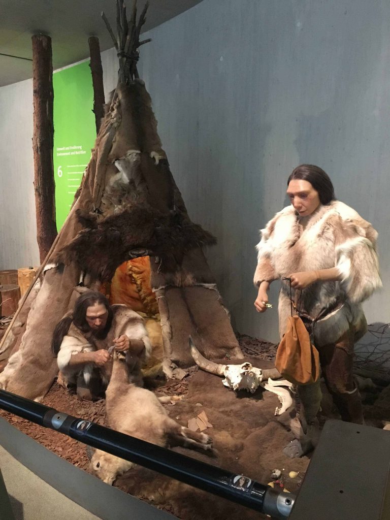 Neanderthal Museum in Mettman, Germany. Big adventure sometimes comes in small packages. Including Special Duckomenta exhibit.