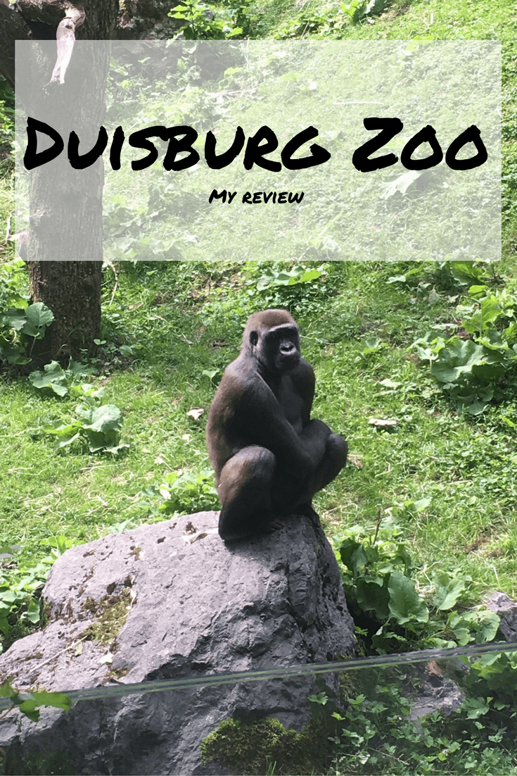 zoo duisburg rundgang