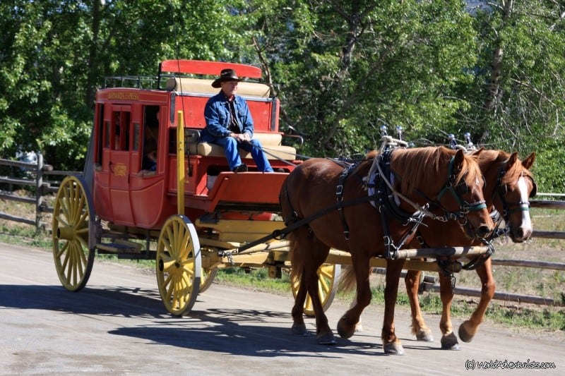 Check out the top family-friendly activities in Vancouver for your next trip to British Columbia with kids. Manning Park | Beaches | Harrison Hot Springs | Whistler | Sunshine Coast | things to do in Vancouver | Cache Creek | things to do in British Columbia