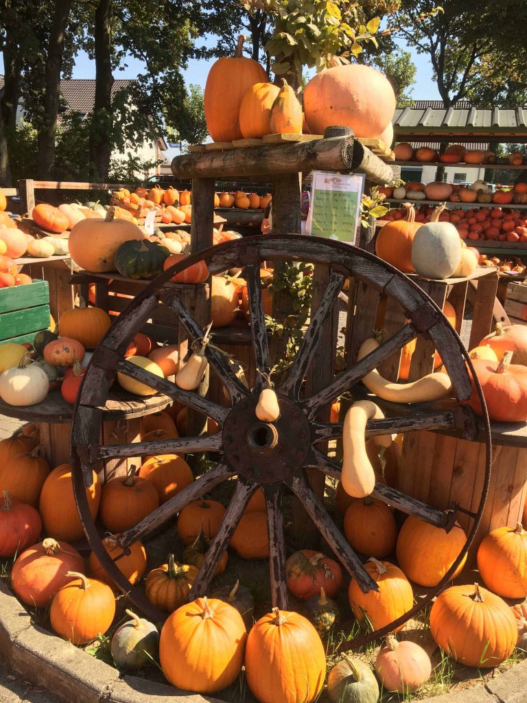 Pumpkin festival and apple picking filled our busy weekend. Now we have carved pumkpins, apple pie and a new apfelringe recipe for next weekend. Never dull!