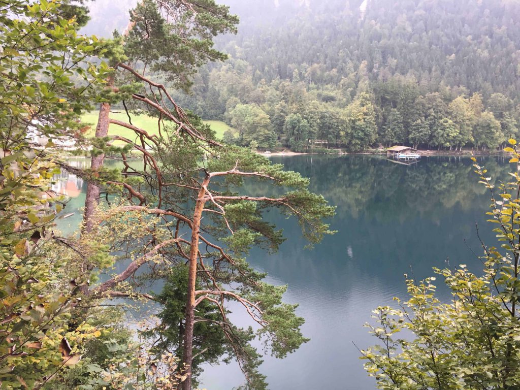 walking towards Hohenschwangau castle Schwangau