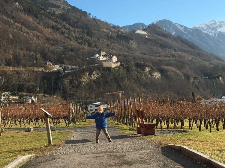 What to see in Vaduz? A quick day trip from Zurich, a castle sneak peak and a wine tasting tour later, it was fun for the whole family