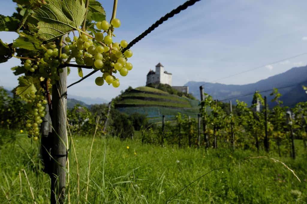 vaduz castle visit