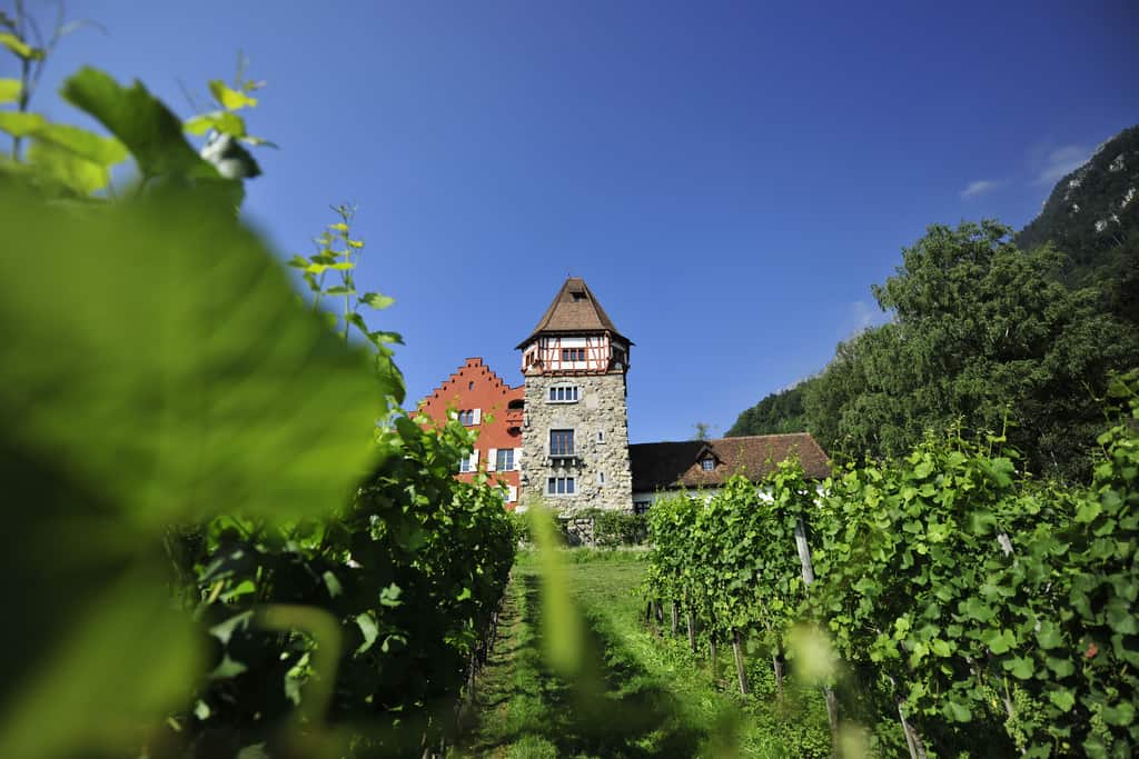 vaduz castle visit