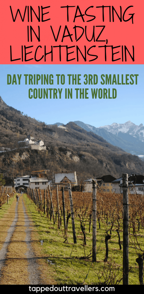 Day trip to Vaduz, Leichtenstein for wine tasting. | Switzerland with kids | Switzerland for Christmas | Switzerland in winter | Family Travel | Travel with kids