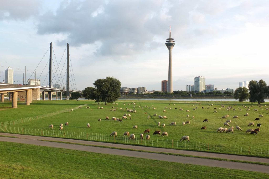 Travel Guide: Dusseldorf with Kids