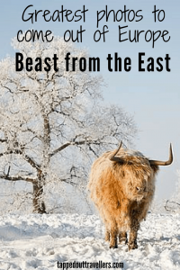 Beast from the East 