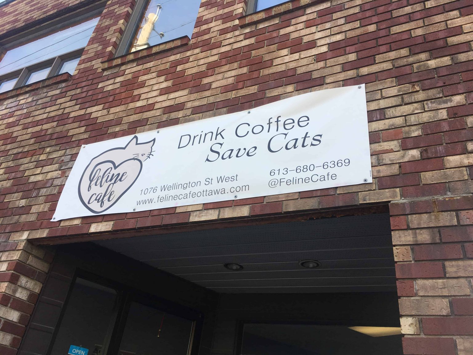 Best Coffee Shops in Ottawa • Tapped Out Travellers