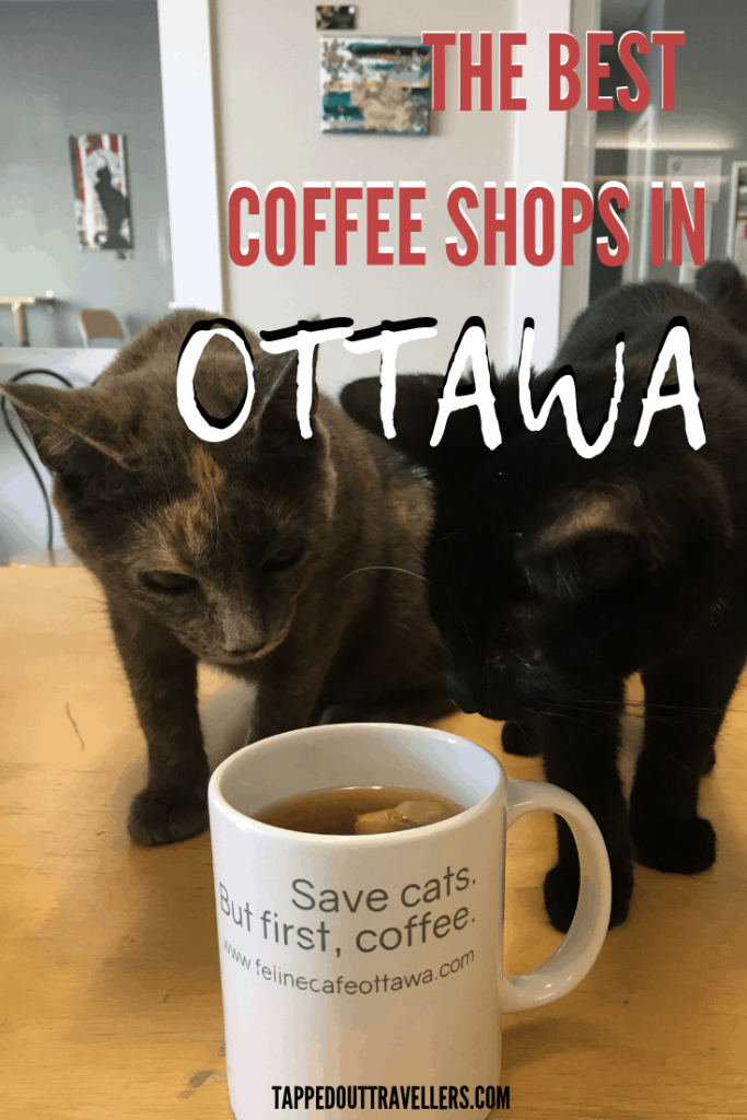 Not everything about a coffee shop is about the taste of the coffee; sure, that's important, but so is the atmosphere, the location and the quality of everything else on the menu. These are the best coffee shops in Ottawa