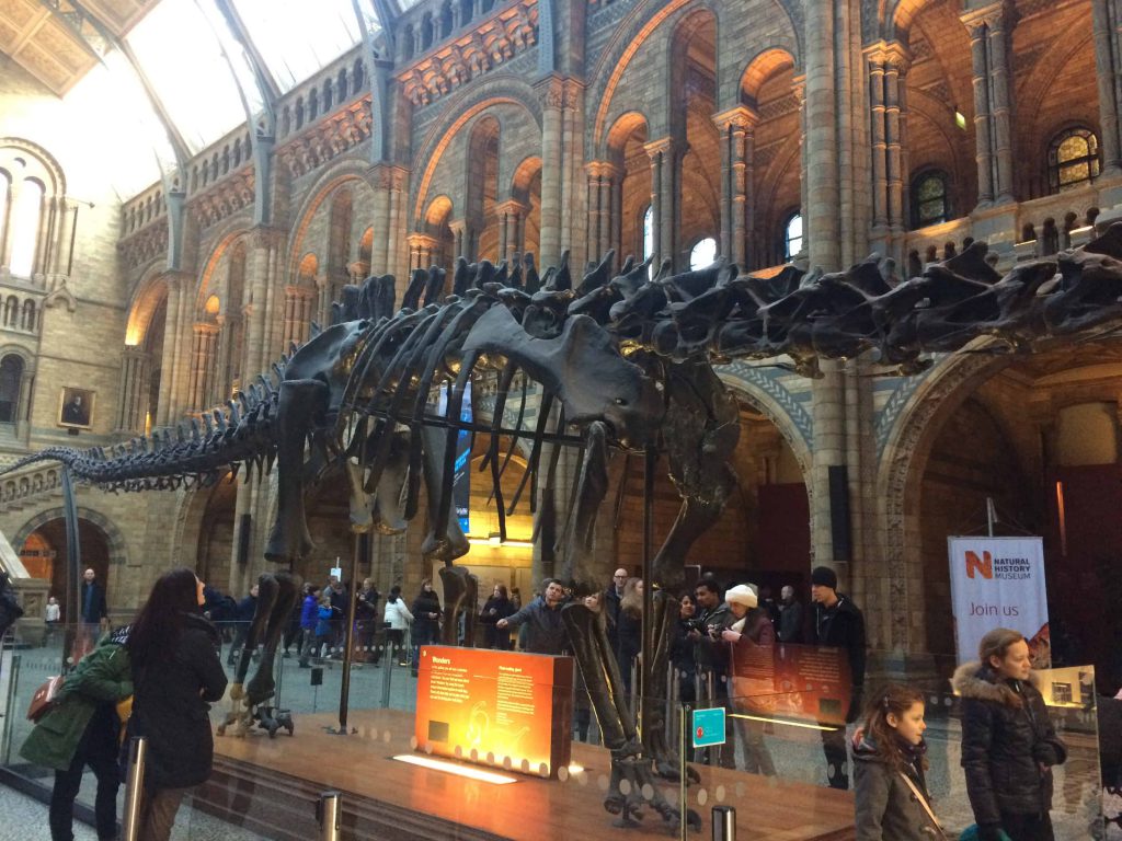 The Natural History Museum in South Kensington, London is a special place and taking a wander – even on a busy weekend day. Discover the best things to do in London. Museums in London that you must visit. What to do in London - free entertainment in London, UK. #adventuresofalondonkiwi #londonmuseums #naturalhistorymuseum