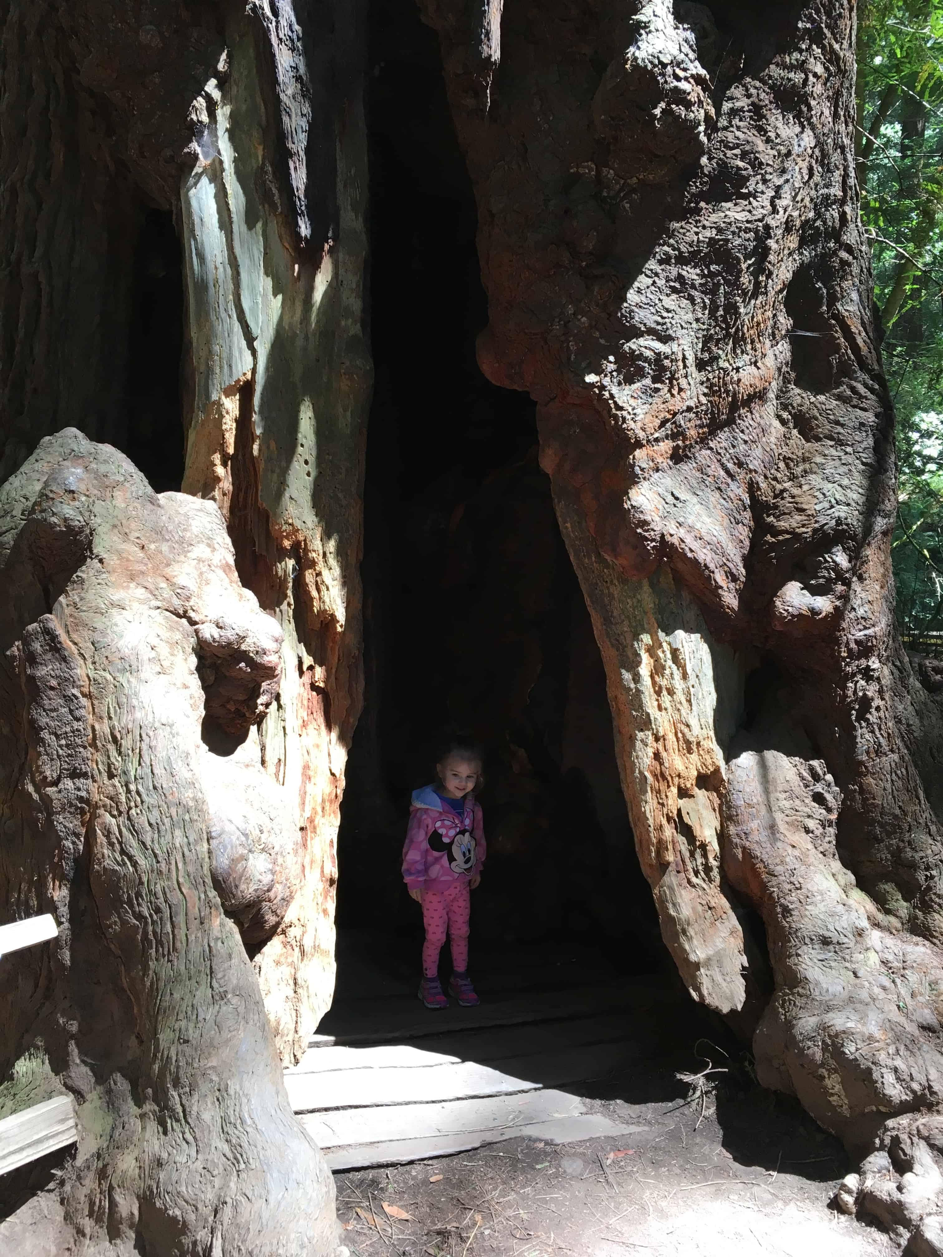 Looking for fun things to do in San Francisco with kids? Traveling with children is hard. Here are things to do in san francisco with toddlers, young kids and even babies. #sanfrancisco