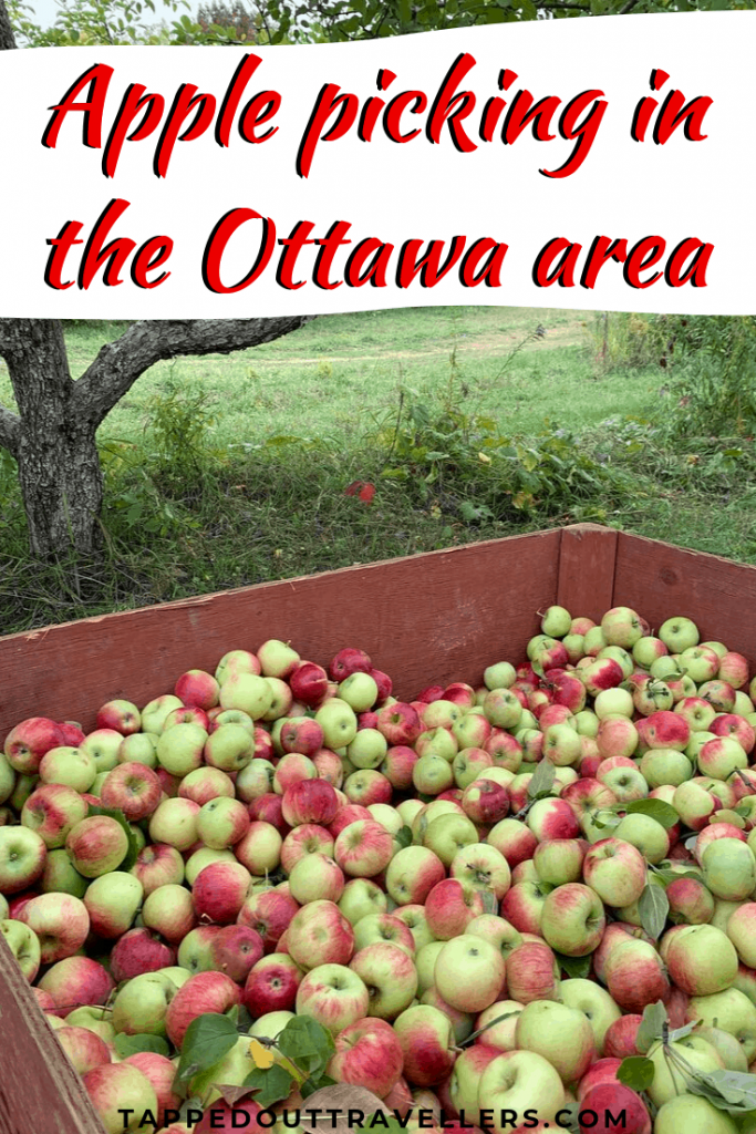 It’s almost the season for apple picking in the Ottawa area, here is a list of where to go for this great family outing.