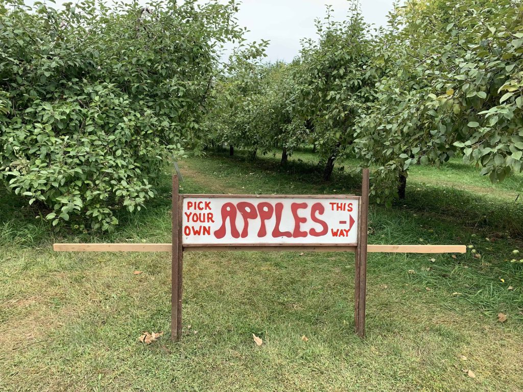 It’s almost the season for apple picking in the Ottawa area, here is a list of where to go for this great family outing.