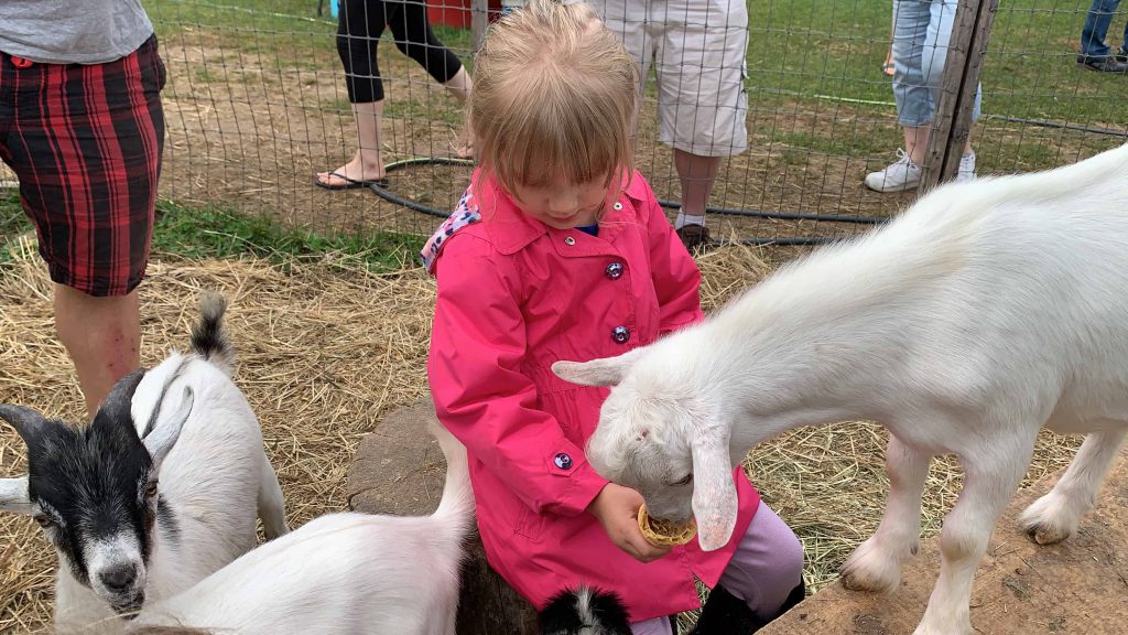 It’s almost the season for apple picking in the Ottawa area, here is a list of where to go for this great family outing.