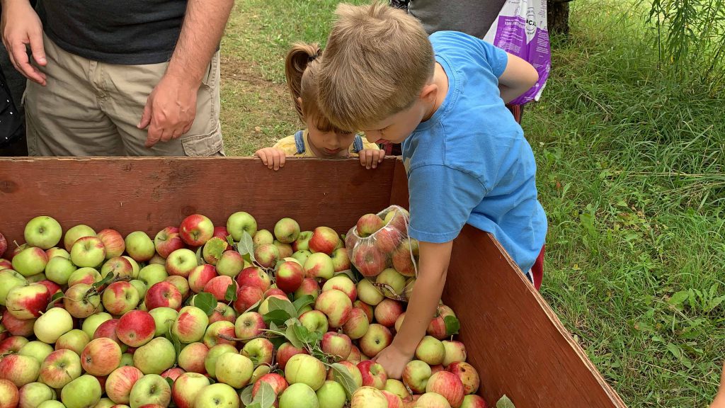 It’s almost the season for apple picking in the Ottawa area, here is a list of where to go for this great family outing.