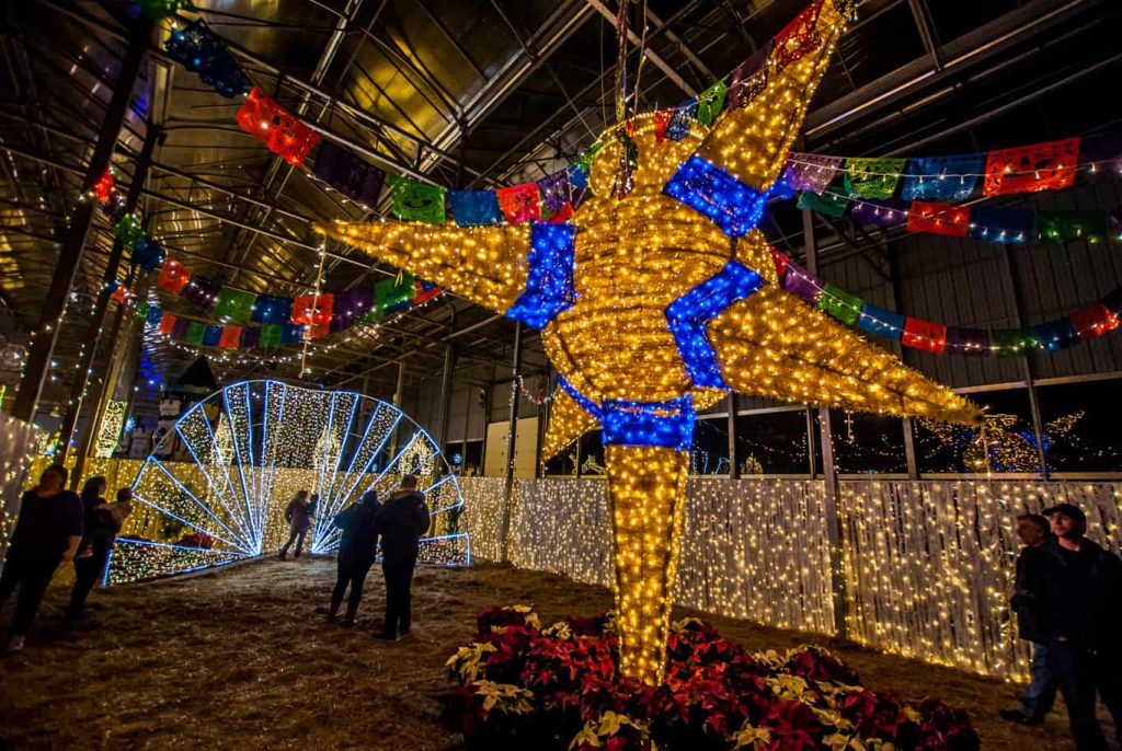 World's Largest Indoor Christmas Lights Festival Is Coming To Ottawa; Glow Around the World