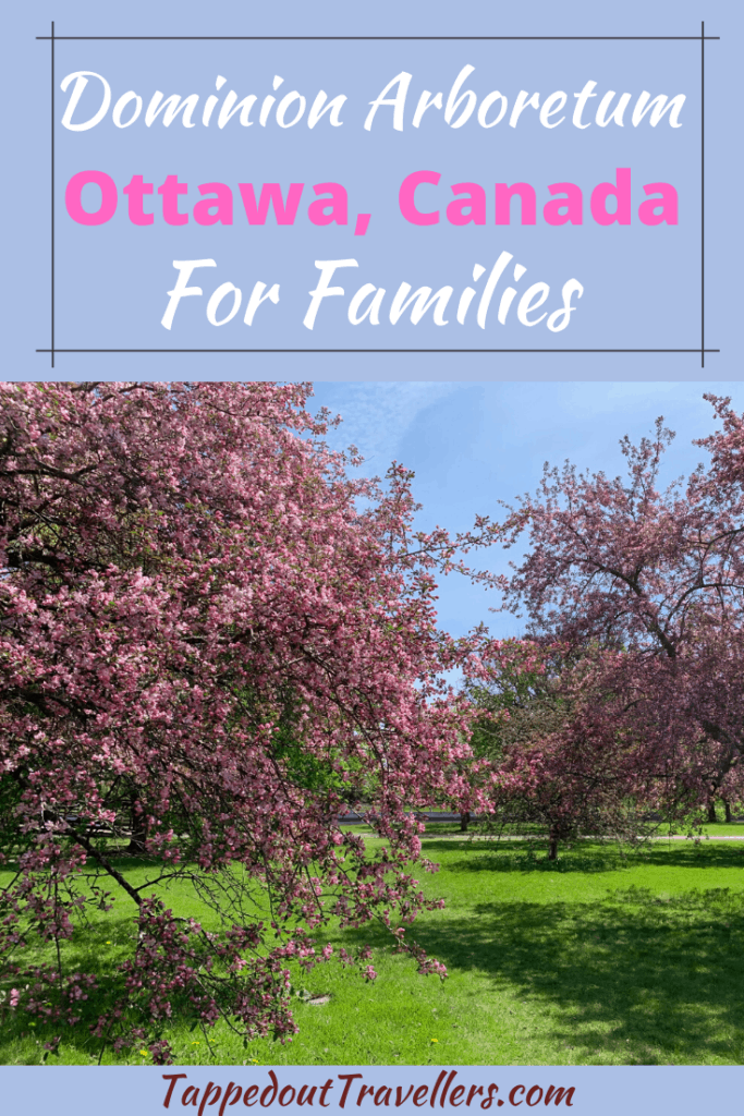 Exploring the Dominion Arboretum with your family