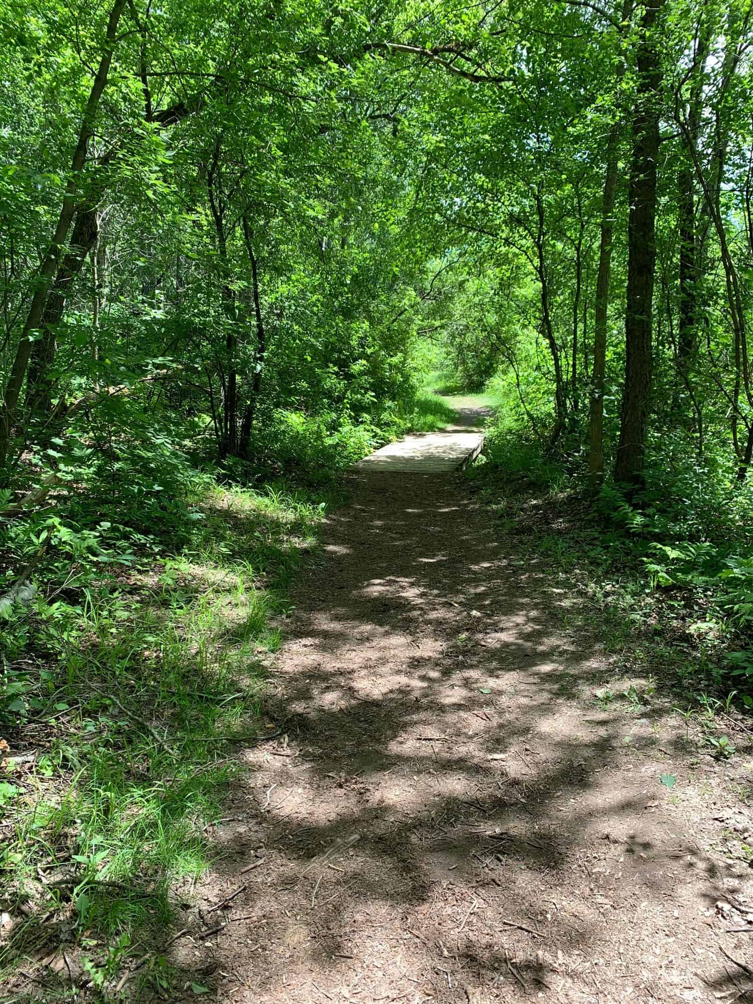 Mer Bleue Bog trail • Tapped Out Travellers