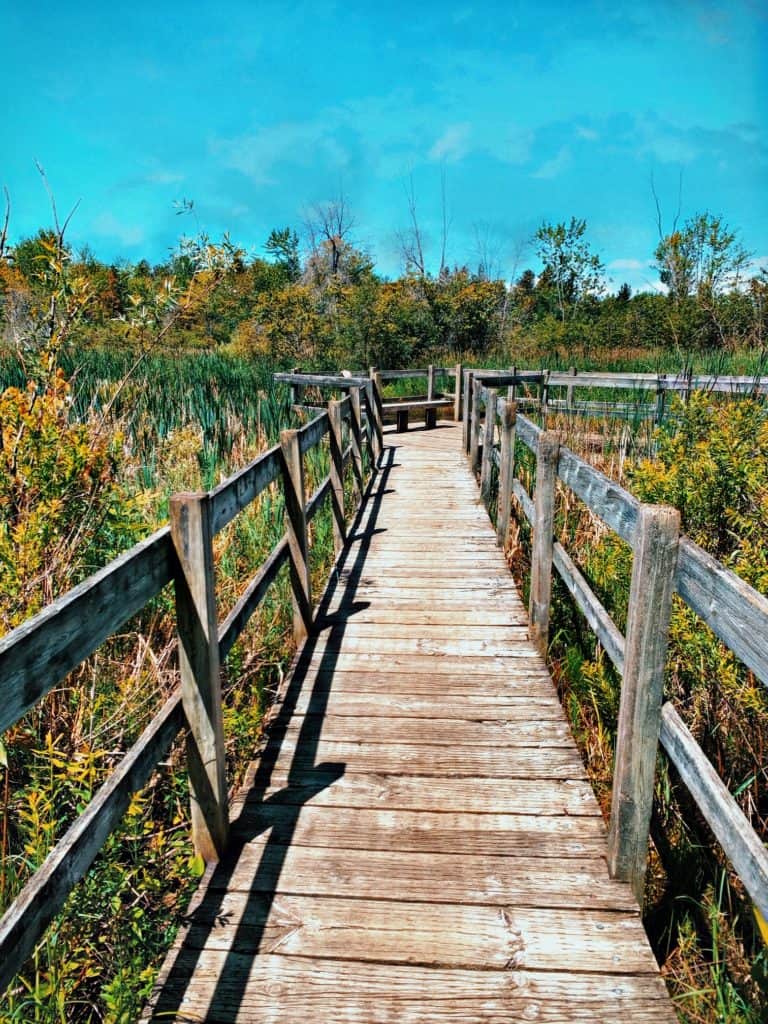 Ottawa's Beaver and Chipmunk Trails