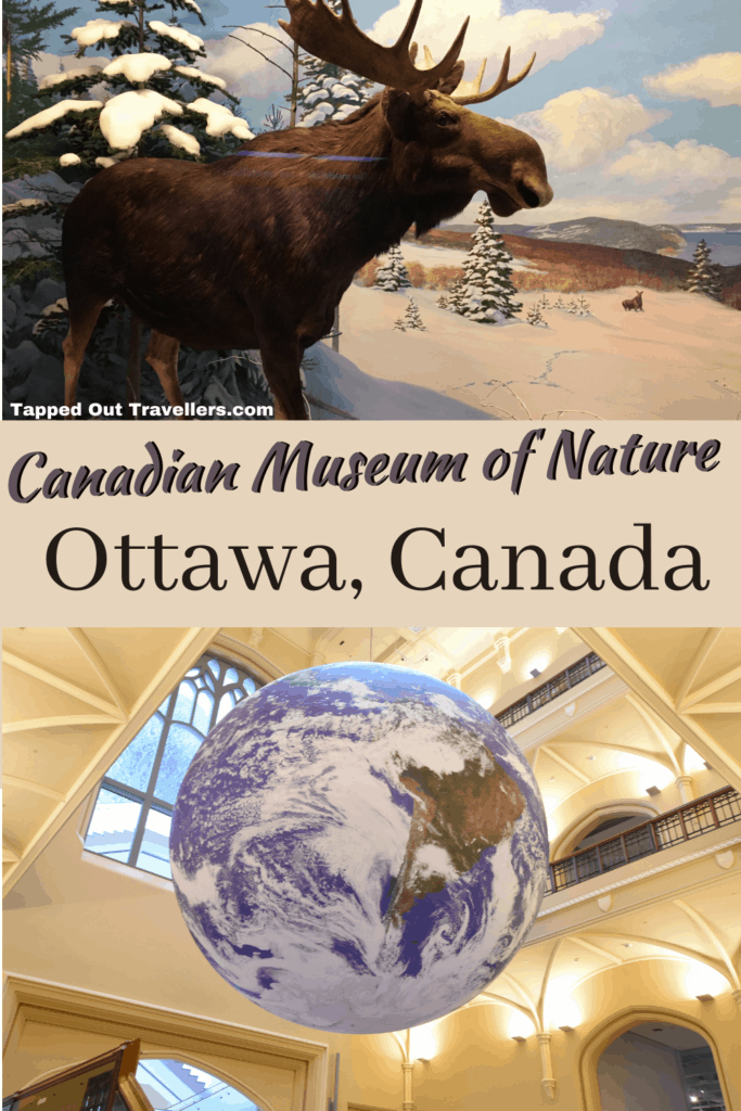 Canadian Museum of Nature. What to Expect from the Butterfly Exhibit at the Canadian Museum of Nature #butterflies #MuseumOfNature